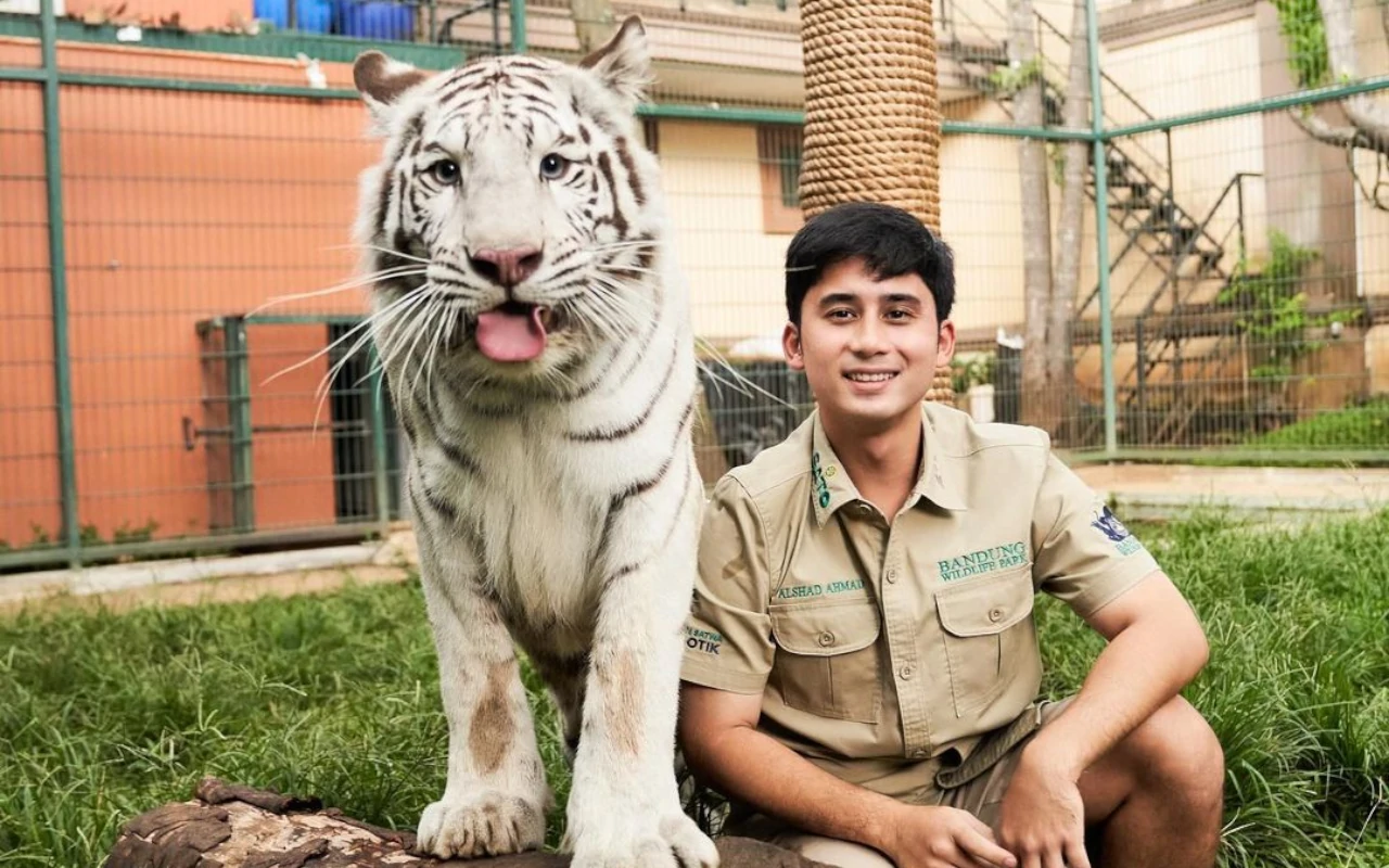 Detik-Detik Alshad Ahmad Diserang Harimau Putih Peliharaannya Buat Ngilu