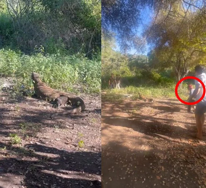 Ji Chang Wook Jongkok Dekat-Dekat Komodo di Labuan Bajo padahal Penakut