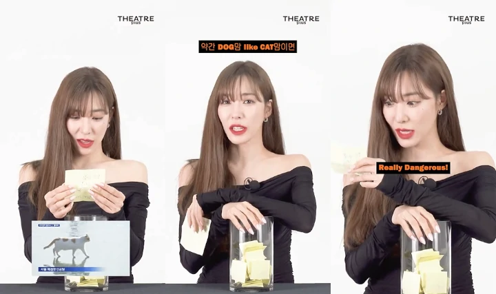 Tiffany SNSD Beri Respons Tak Terduga Soal Challenge Kucing di Sungai Han
