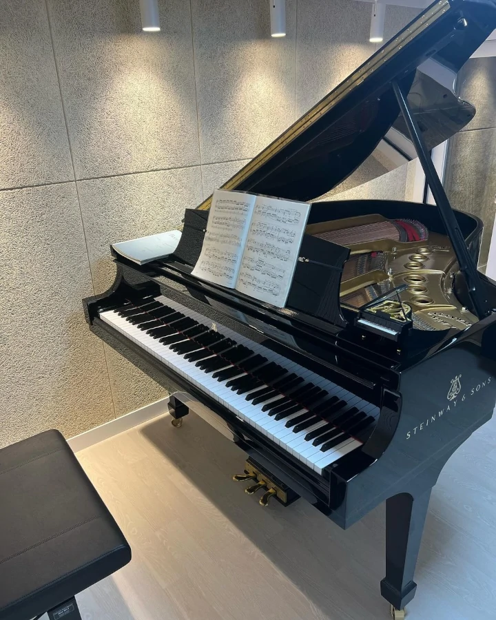 Seohyun SNSD Pamer Grand Piano Perdana yang Harganya Capai Miliaran