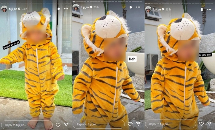Fuji An Diduga Bereaksi Lewat Meme Gala Sky