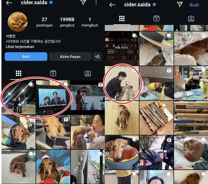 Gong Yoo & Yoo Yeon Seok Jadi 2 Orang Spesial yang Debut di IG Seo Hyun Jin