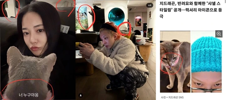 Allkpop