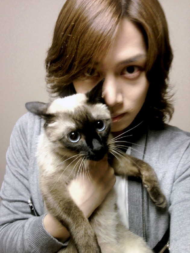 Gambar Foto Kim Heechul Berpose dengan Seekor Kucing