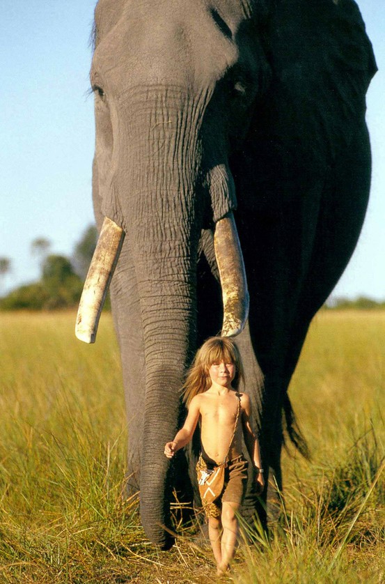 Gambar Foto Tippi Degre Saat Bermain Dengan Seekor Gajah