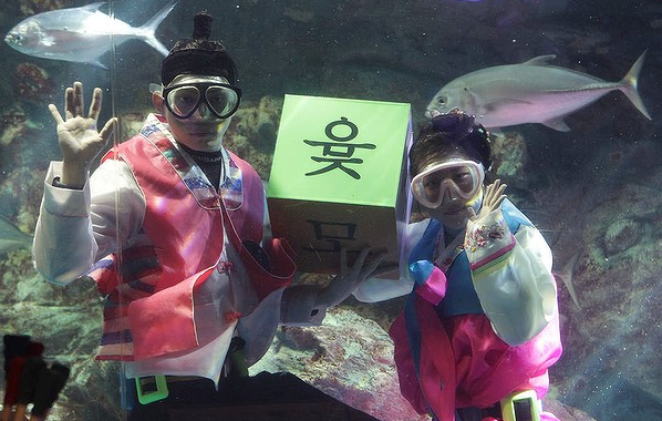Gambar Foto Dua Orang Penyelam Meriahkan Imlek di Akuarium Seoul