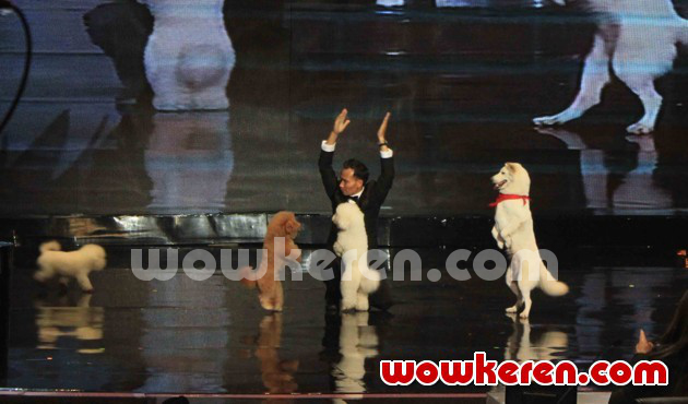 Gambar Foto Penampilan Lovly Dog di Grand Final 'Indonesia's Got Talent'