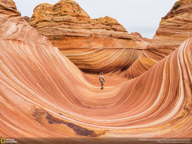 Gambar Foto Sebuah Foto yang Diberi Judul 'The Wave'