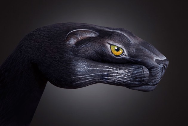 Gambar Foto Handimals Karya Guido Daniele