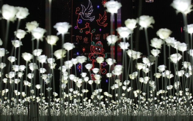 Gambar Foto Indahnya 'Light Rose Garden' di Perayaan Valentine 2016 Hong Kong
