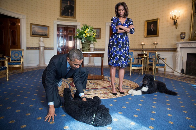 Gambar Foto Bersama Kedua Anjing Peliharaannya, Sunny dan Bo, Barack Obama dan Michelle Menunggu Kedatangan Tamu di White House