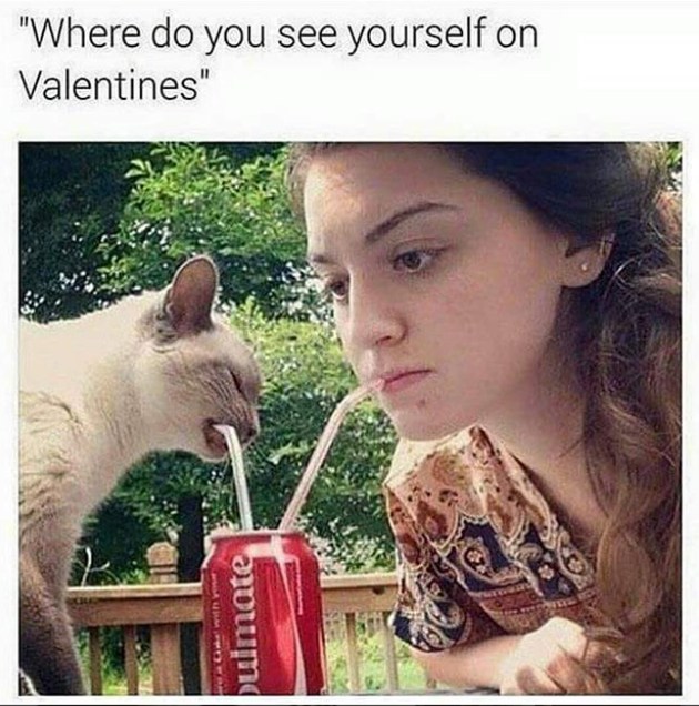 Gambar Foto Valentine-an Bersama Peliharaan, Kenapa Tidak?