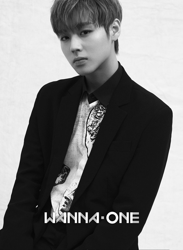 Gambar Foto Park Ji Hoon di Foto Profil Official Wanna One - Foto 2 dari 48