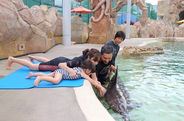 Gambar Foto Gempita rupanya tertarik untuk menyentuh lumba-lumba.