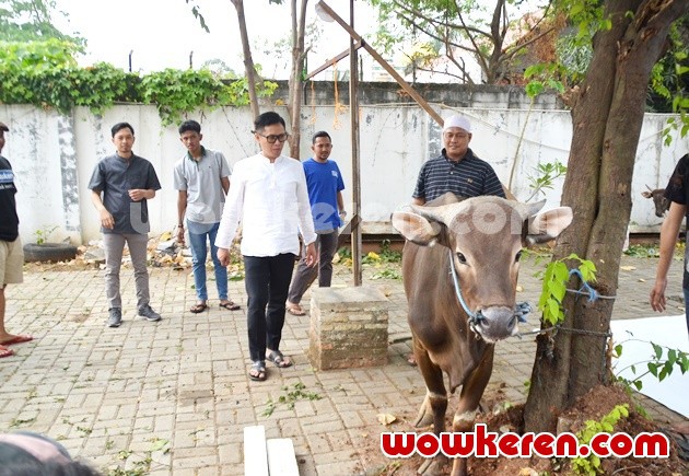 Gambar Foto Eko Patrio Menyembelih Hewan Kurban