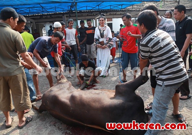 Gambar Foto Krisdayanti Sembelih Hewan Kurban