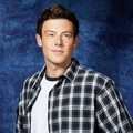 Cory Monteith sebagai Finn Hudson