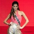 Miss Puerto Rico Viviana Ortiz di ajang Miss Universe 2011