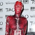 Heidi Klum menjadi alat peraga anatomi tubuh