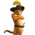 Puss tak gentar menghadapi musuhnya