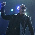 Konser Singkat Pitbull Membuat Penonton Puas