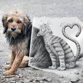 Anjing dan Kucing Lewat Sketsa dan Fotografi