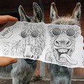 Para Keledai di Perpaduan Sketsa Gambar dan Fotografi