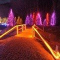 Dekorasi Natal Indah Dari Lampu di Kroasia