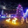 Dekorasi Natal Indah Dari Lampu di Kroasia