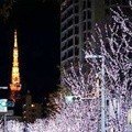 Dekorasi Natal Indah Dari Lampu di Jepang