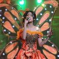 Widi Vierra di Konser 'Dekade Trans Untuk Indonesia'