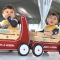 Eddy dan Nelson, Putra Kembar Celine Dion dan Rene Angelil