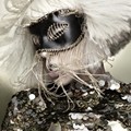 Pemotretan Lady GaGa dalam Video Musik Monster