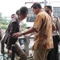 Venna Melinda Saat Mengunjungi Warga Kolong Jembatan Grogol