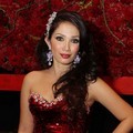 Resepsi Pernikahan Ussy Sulistiawaty dan Andhika Pratama