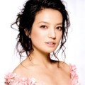 Vicki Zhao Aktris Populer dari Cina