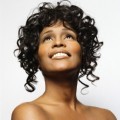 Whitney Houston, Blasteran Afrika dan Amerika