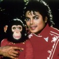 Michael Jackson Sukses di Musik Pop Selama 4 Dekade