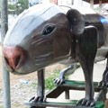 Peti Jenazah Berbentuk Tikus