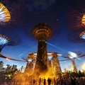 Jian Wei Poon Mengabadikan Keindahan Supertree Grove