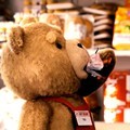 Aksi Ted, Boneka Beruang Nyentrik