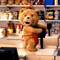 Aksi Ted, Boneka Beruang Nyentrik