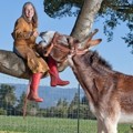Oklahoma Sam, Keledai Tertinggi di Dunia