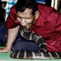 Aksi Warga  Desa Ban Kok Sa-Nga Bermain Bersama Ular Kobra