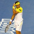 David Ferrer Gagal Melaju ke Babak Final Australia Terbuka 2013