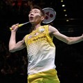 Lee Chong Wei Melawan Chen Long di Final All England 2013
