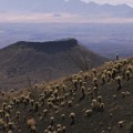 Biosfer El Pinacate dan Gran Desierto de Altar, Meksiko