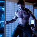 Wolverine Bersiap Menyerang Musuh