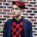 EXO, EXO-K, D.O.