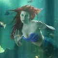 Ariel Kesepian dalam Akuarium Raksasa
